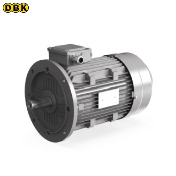 Động cơ 30HP 460V SA IE2 (A07120794)