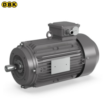 Động cơ 3KW IE3 4 cực 50HZ 200V / 60HZ 200/380V (A07114731)