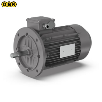 Động cơ 3KW IE3 châu Á 2 cực (A07114734)