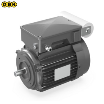 Motor 1 pha 100/200V PK1 A07110733