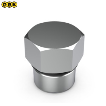 Nút bịt O-Ring 1/2 x 3/4 ren 16THDS, 075-033-472