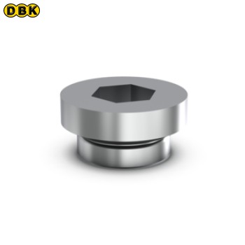 Nút bịt O-Ring Boss-20 thép, 085-052-065