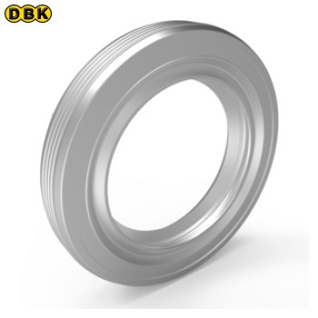 Phớt môi RV 20x30x5 BAUMSLX27 (H02109154)